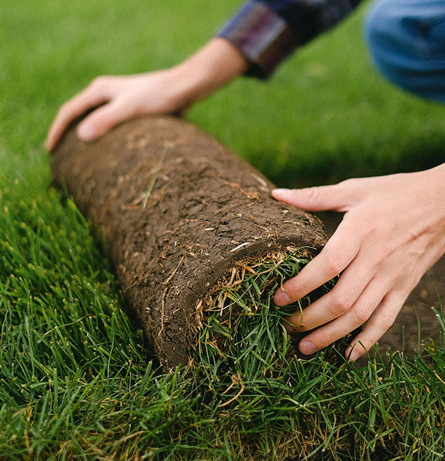 Maxam Rolling Turf